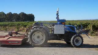 Wilson Vineyards visit