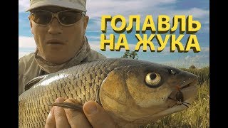 Журнал нахлыст все номера