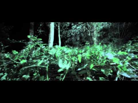 Sara Jackson-Holman - "Cellophane"  Official Music Video