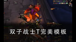 Re: [問題] Taq 雙子疑問