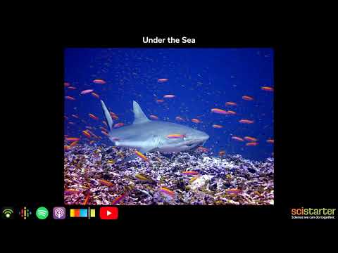 Citizen Science Podcast: Under the Sea (aired on 2022-07-23)