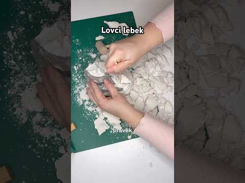 Vykopávám 67mil let starého dinosaura #albicz #diy #dinosaur #albiscience #lovcilebek #vykopavky