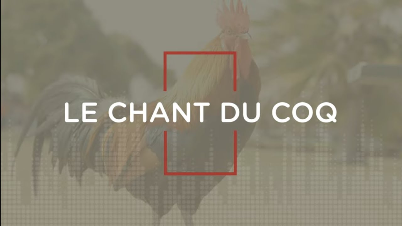 Thumbnail of video: L'avancée des travaux extérieur du CHU Le Pain Quotidien