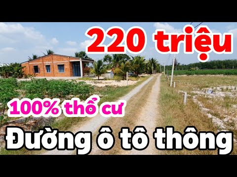 Đất 252m2 nở hậu 100% thổ cư giá rẻ 220 triệu ở Long Chữ Tây Ninh cách Chợ Long Vĩnh 3km bao giấy tờ