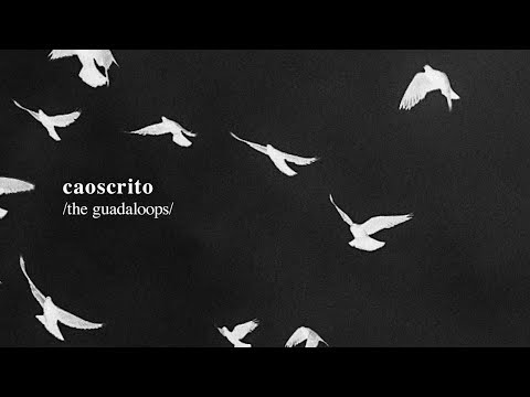 The Guadaloops - Caoscrito