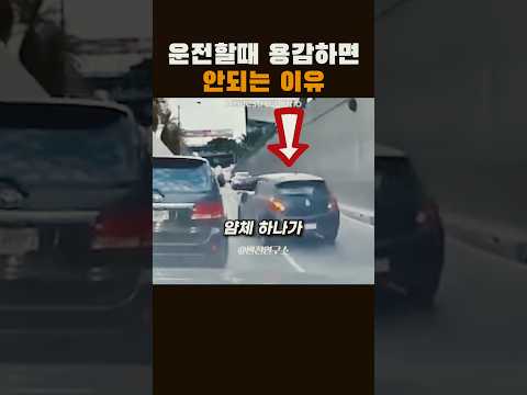 운전할때 용감하면 안되는 이유