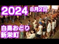 【岐阜県郡上市】白鳥おどり「新栄町」2024年8月02日