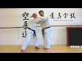 Tekki Shodan Bunkai Strategies 2018 Week 14 Koryu Karate Oyo Jutsu