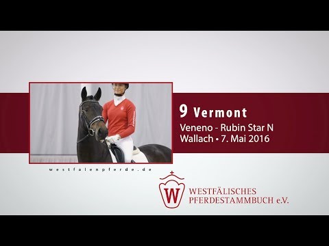 09 Vermont Wallach v.Veneno - Rubin Star N