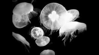 SIXX AM - Life is beautiful [HD/HQ]