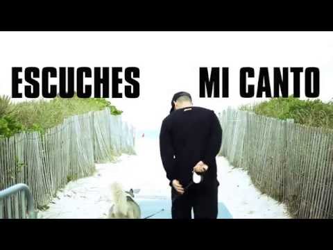 Te Estoy Buscando Lyric Video