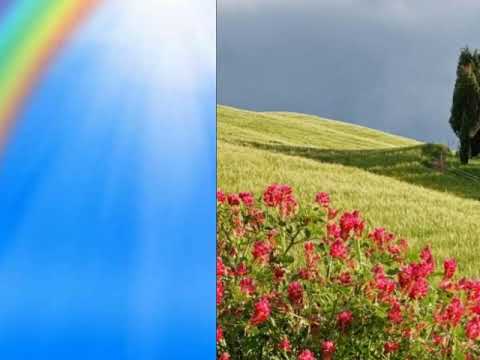 127, Faz-me andar, Hinário Brados de Júbilo