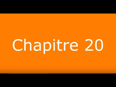 Le Petit Prince - Antoine de Saint-Exupéry - CHAPITRE 20