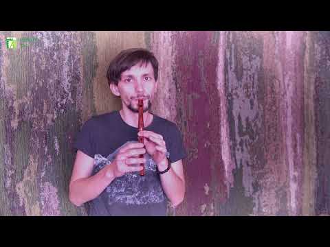 Whistle in D rosewood (thin) - HarmonyFlute workshop