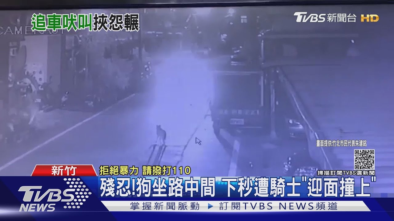 牠狂叫！男不滿頻被吠　竟失控「騎車撞狗」