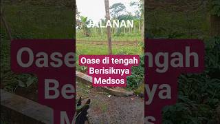 Thumbnail Stoikisme Dalanan