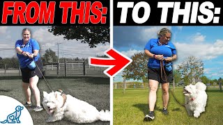 How To ACTUALLY Fix Pulling On Leash!