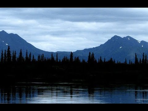 SCP-3930 'Pattern Screamer'