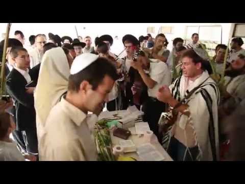 Zalman Stub: "שובי נפשי" succot 2014