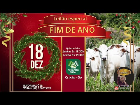 LEILÃO ESPECIAL FIM DE ANO 2025! SINDICATO RURAL DE CRIXAS-GO 18/12/2025 LIVE JENILSON