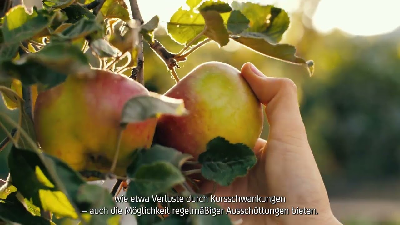 Video Anlagetrends Income