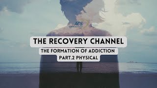The Formation of Addiction Part. 2 Physical | The Recovery Channel | Applied Care Services