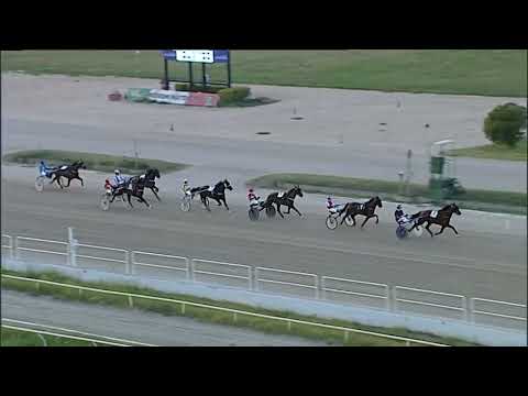 Napoli Trotto 25/08/2023 - 2ª prova di qualifica