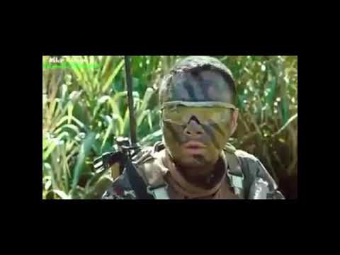 operation mekong Movie