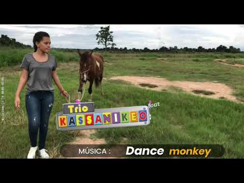 Trio kassanikeo & Brisa Star  - Dance Monkey