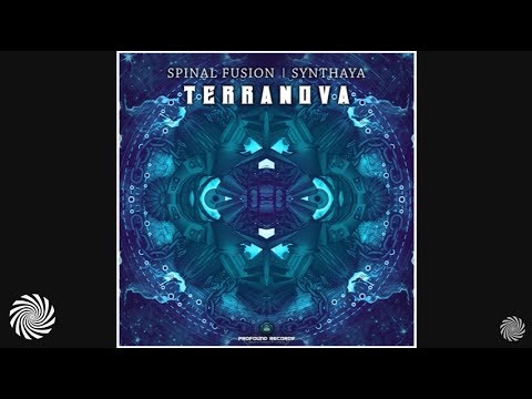 Spinal Fusion & Synthaya - TerraNova