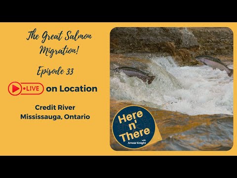 Here n' There with Anwar Knight | Episode 33