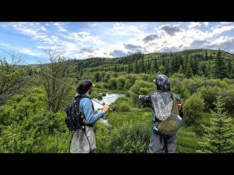 The Search For Saskatchewan's Wild Trout - Cooking on the creek