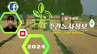 ✨[ 주간농사정보 ] 11월 첫째주 (2024. 11. 04. ~ 11. 10.)