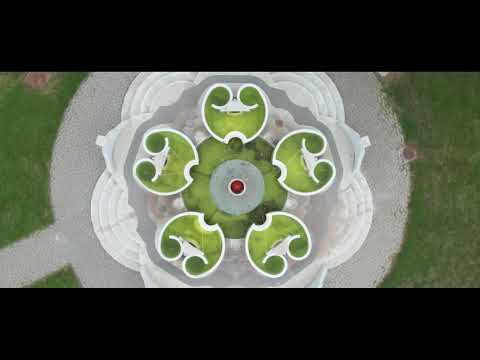 Paracin - promo film 2021