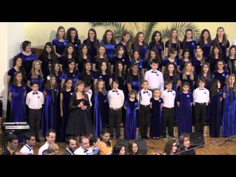 Flori si Stele & Alina Vladu - Cantec poem