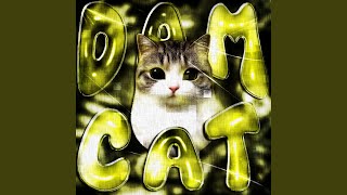 Download lagu AUTOMOTIVO DAM DAM DIDIDIDI CAT mp3 Download lagu AUTOMOTIVO DAM DAM DIDIDIDI CAT mp3