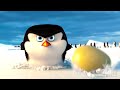 Baby Penguins Save The Egg Penguins Of Madagascar CLIP