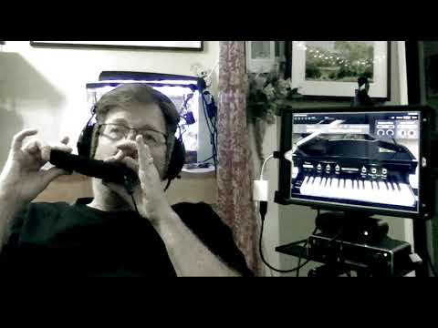 Jason Keene Plays The DM48 MIDI harmonica with KORG Piano sounds
