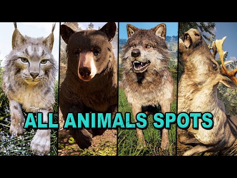 Assassin's Creed Valhalla - All Animals Hunting Best Farming Spots