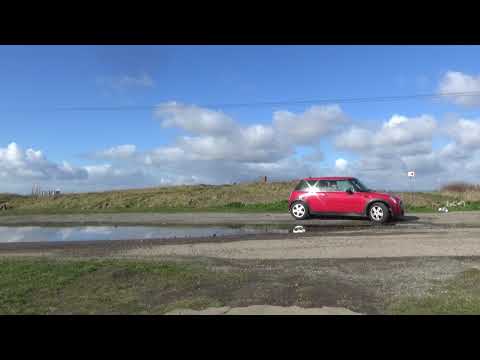 shrinking growing mini one