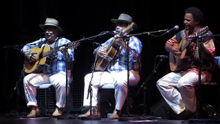 Violeiros do Brasil, Zé Mulato &amp; Cassiano, Pereira da Viola e Almir Sater