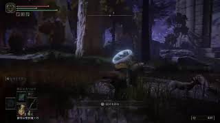 【ELDEN RING】今日もエルデンや！【エルデン リング】#13