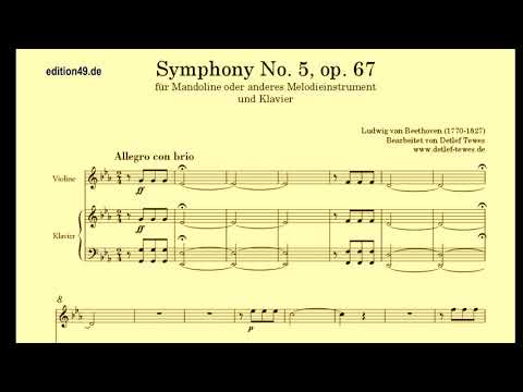 Beethoven Symphony 5 1st movement excerpt Detlef Tewes Mandolin Matthias Hammerschmitt piano