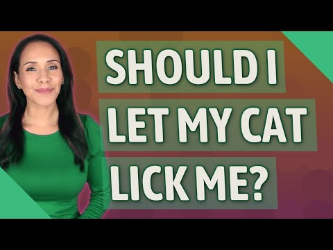 Should I let my cat lick me?