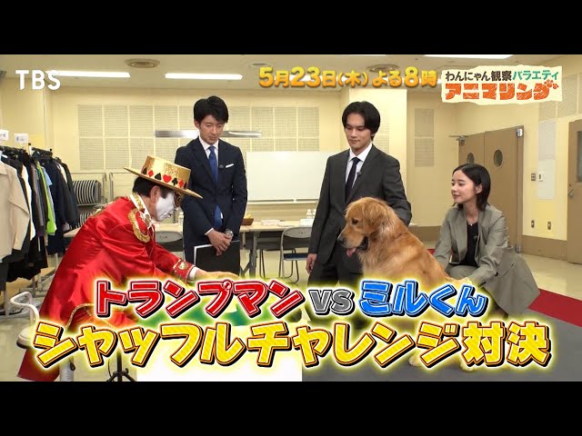 わんにゃん観察アニマリング☆アンチヒーロー天才犬VSトランプマン…手品見破れる？