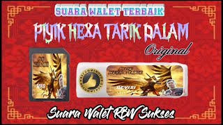 Download lagu PIYIK HEXA TARIK DALAM || Suara Walet RBW Sukses || Tarik || Hexagonal || Oktagonal mp3