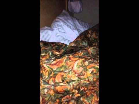 Rodeway Inn Haunting