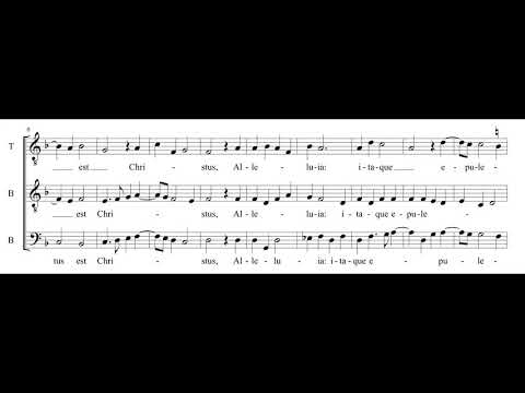 Pascha nostrum à 3 (anonymous)