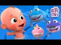 Baby Shark And More Nursery Rhymes Best Kids Songs Collection Hello Tiny