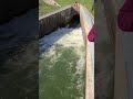 Brookville Reservoir spillway. #Brookvillelake #Brookvilledam #fishing #tailwaters